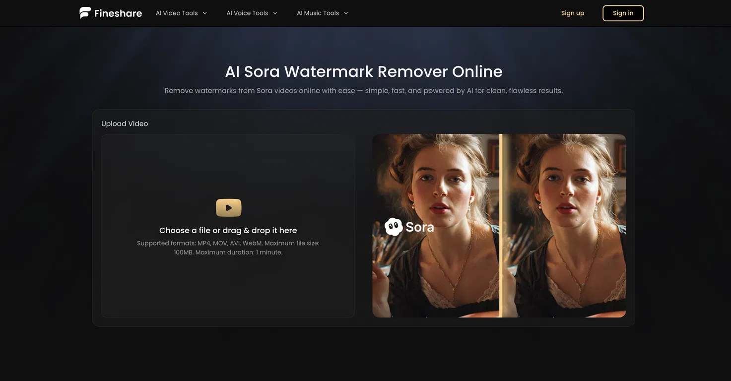 Fineshare Sora Watermark Remover screenshot