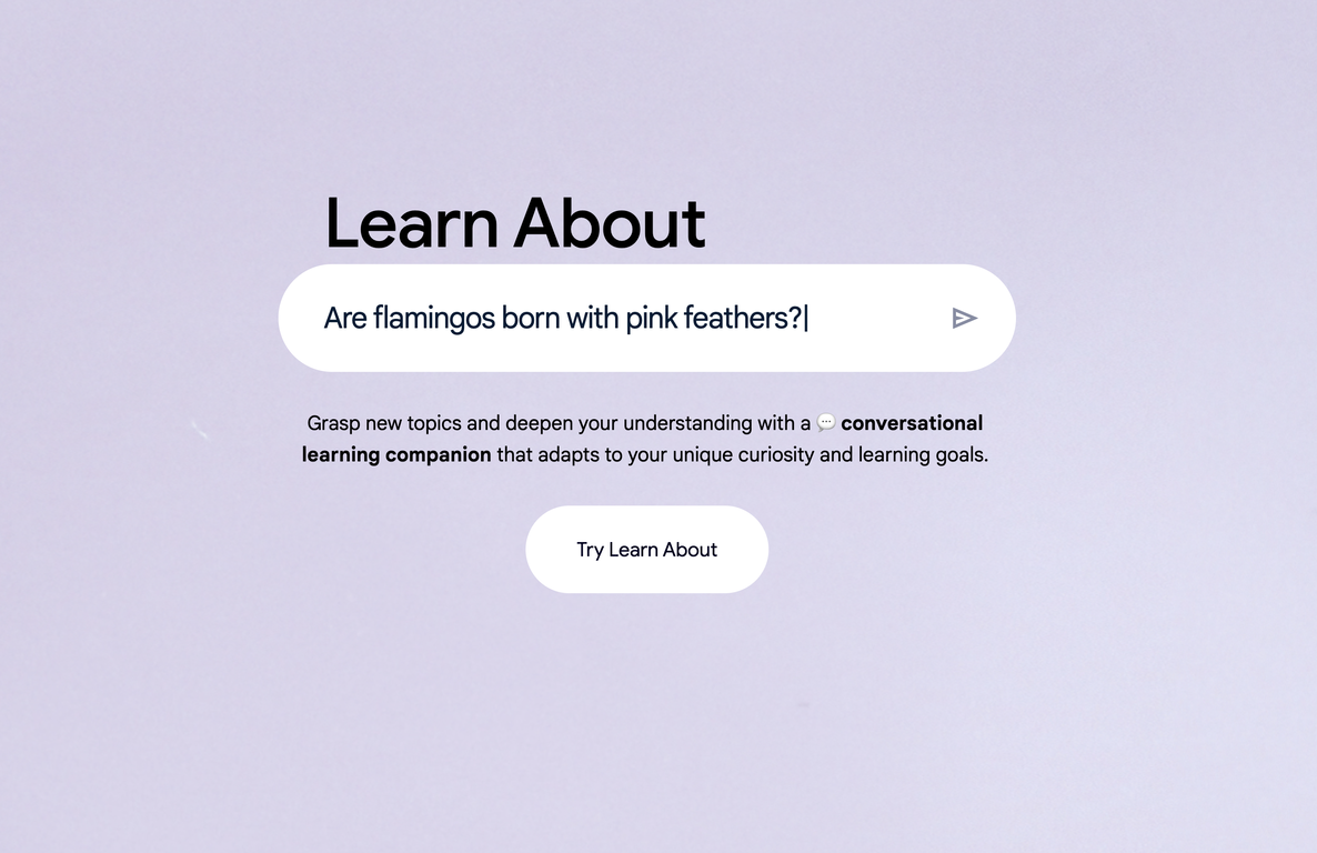 Google Learn About screenshot