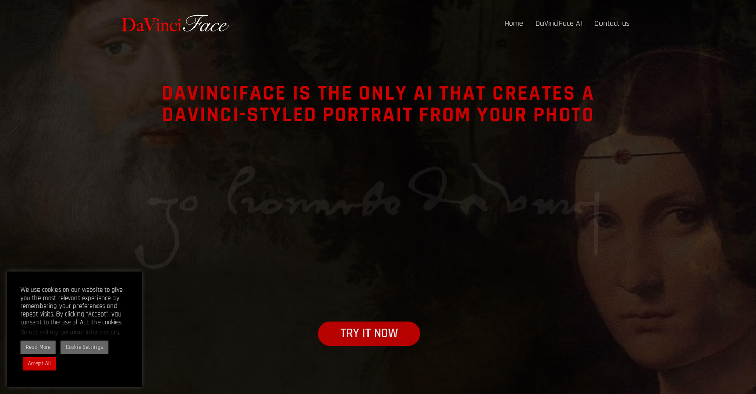 DaVinciFace screenshot