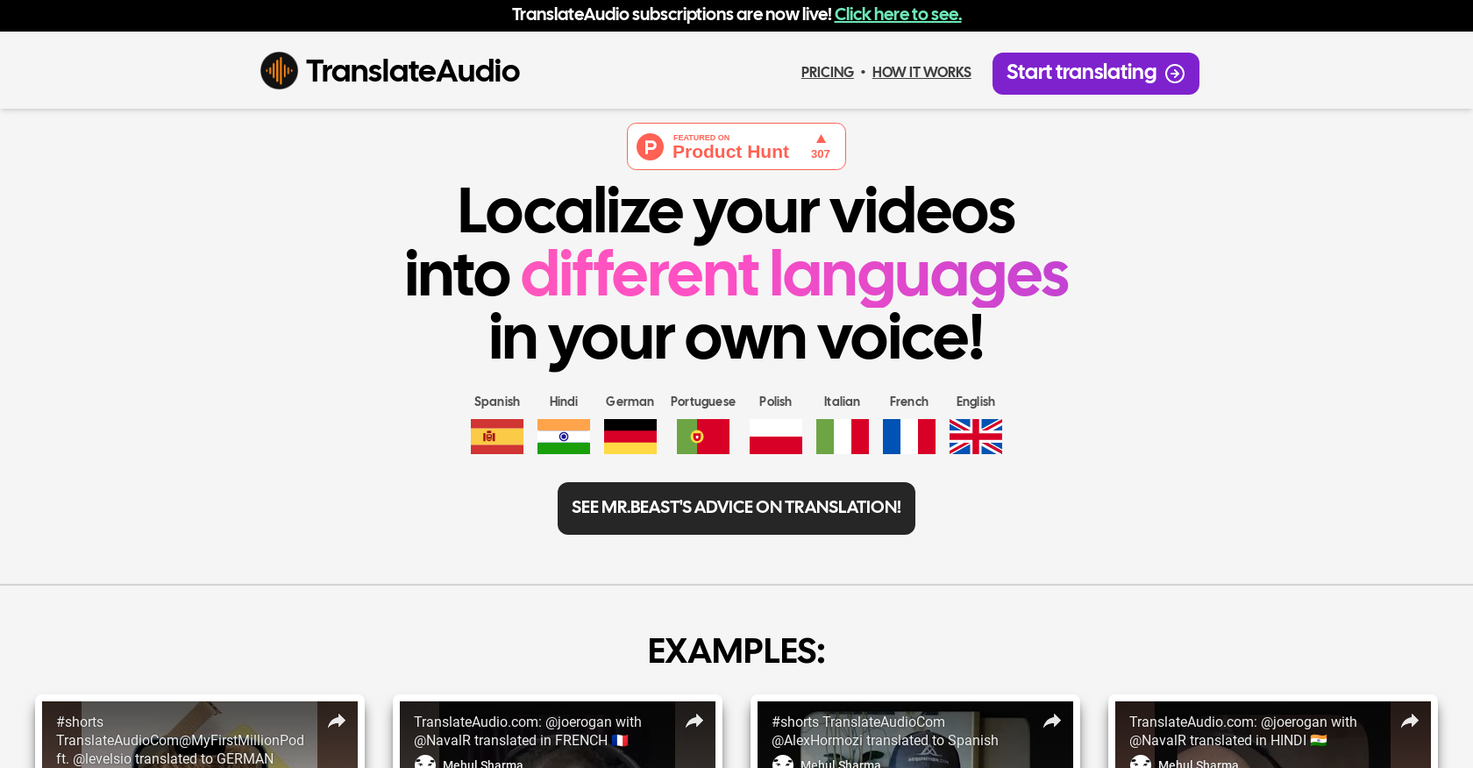 TranslateAudio screenshot