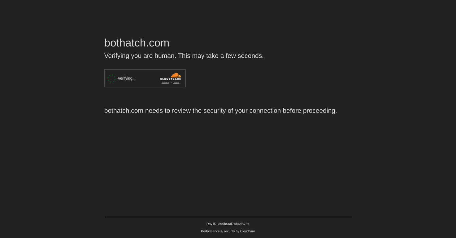 Bothatch screenshot