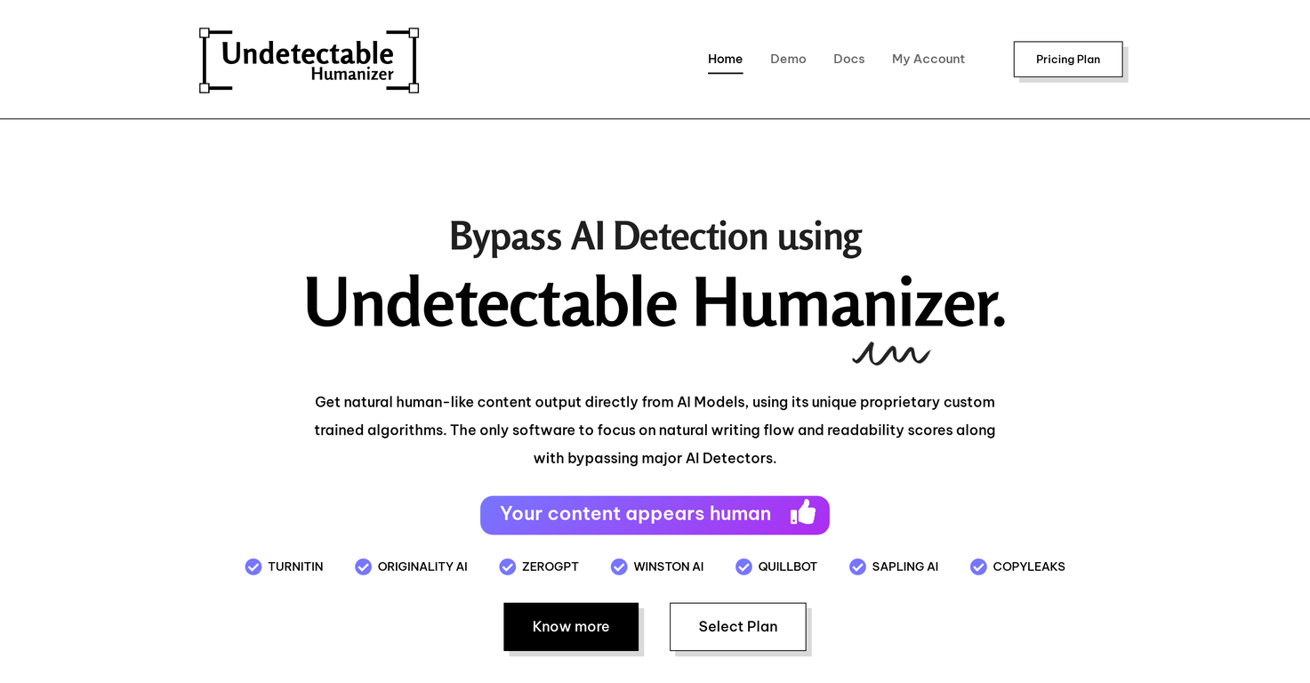 Undetectable AI Humanizer screenshot