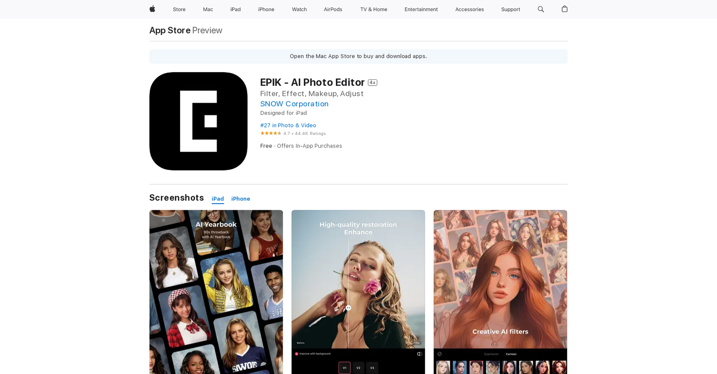 Epik screenshot
