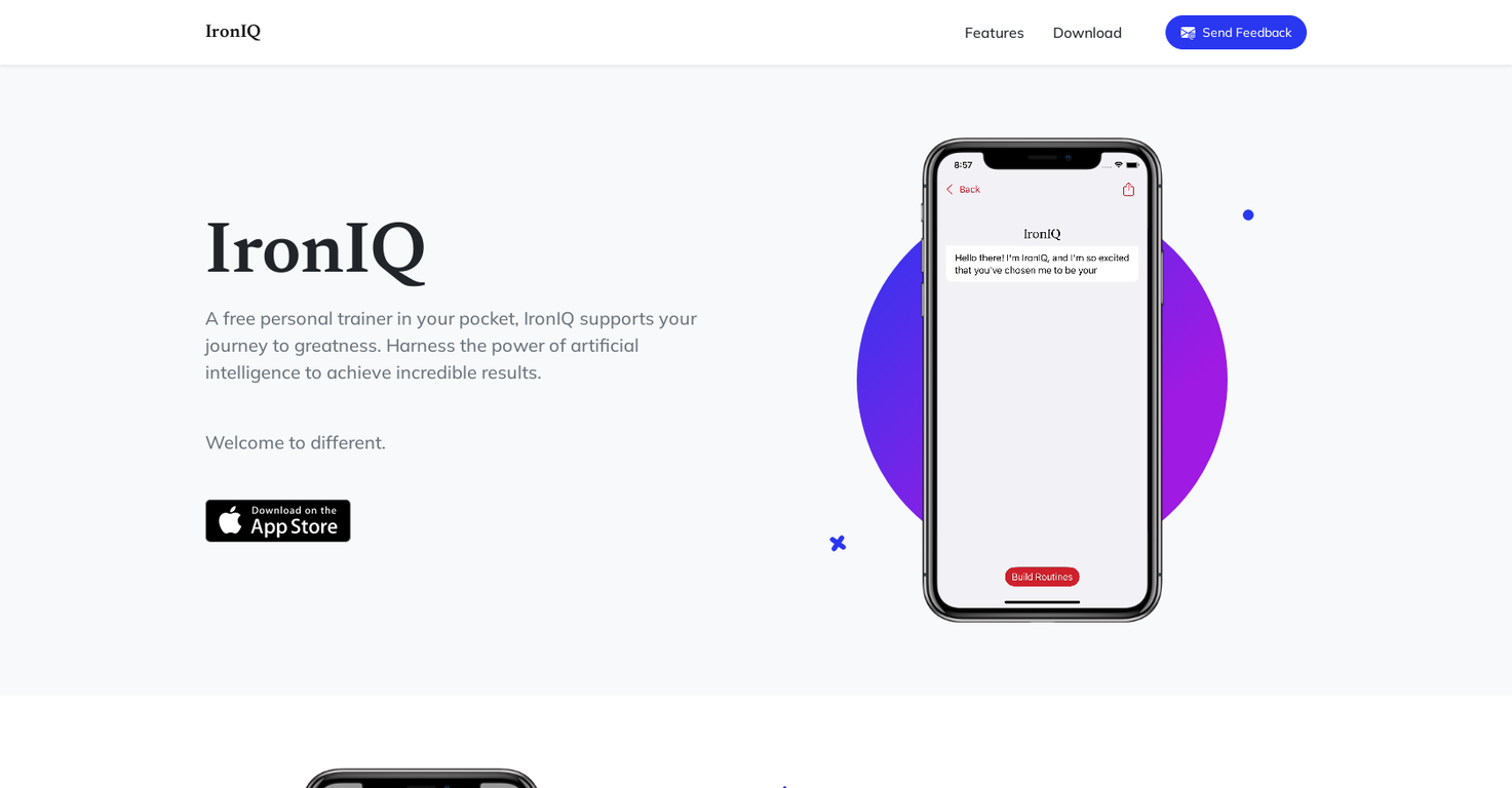 Ironiq screenshot