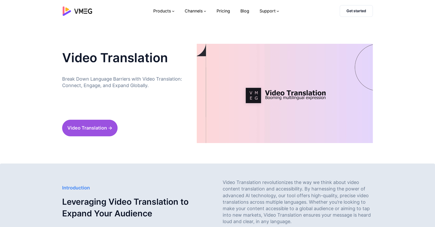 VMEG Video Translation screenshot