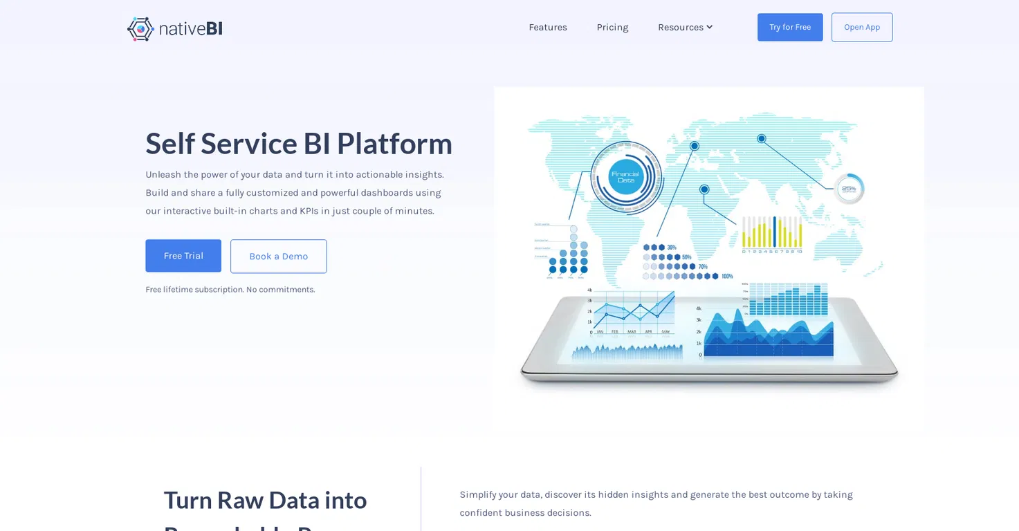 NativeBI screenshot