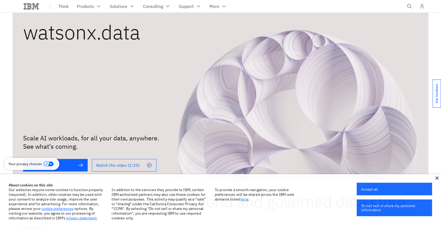WatsonX.data by IBM screenshot