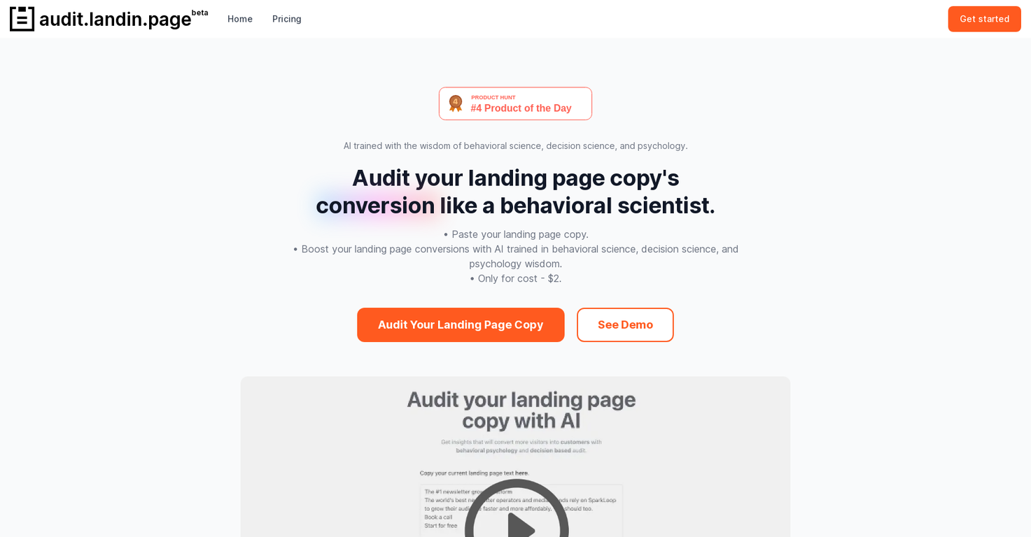 Audit Landin Page screenshot