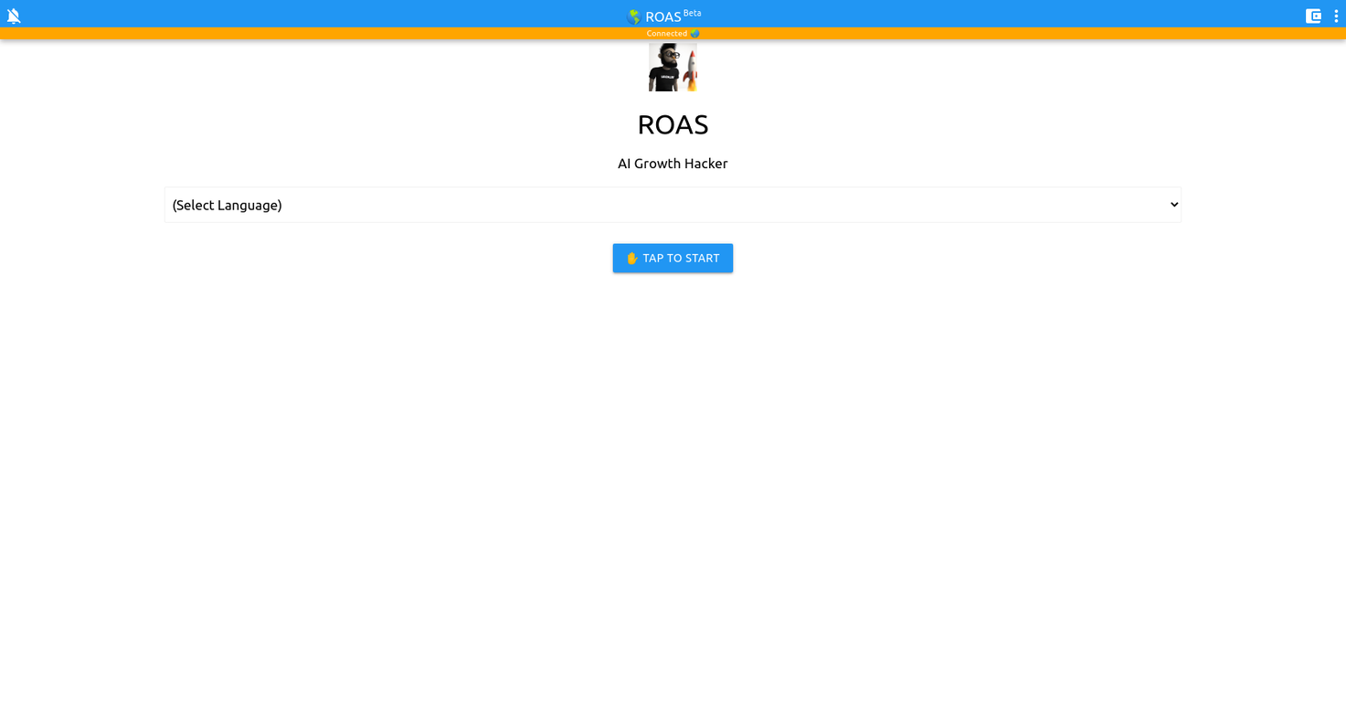 ROAS screenshot