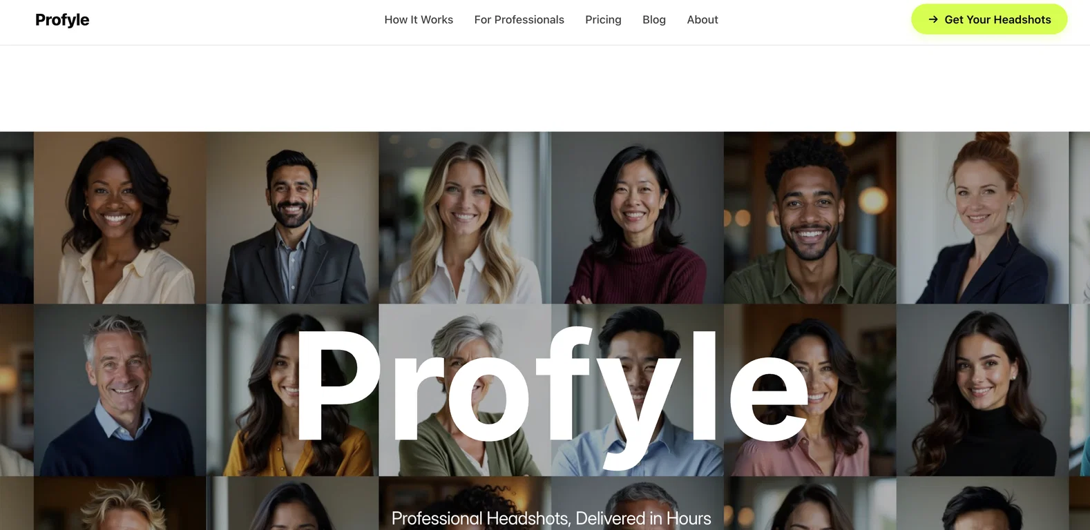 Profyle screenshot
