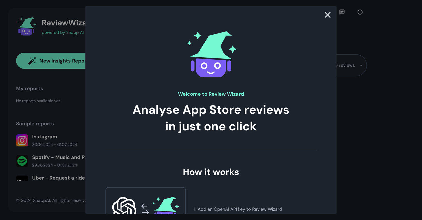 SnappAI - Review Wizard screenshot
