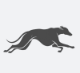 Galgos AI logo