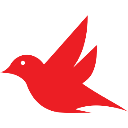 Robin Sideckick logo