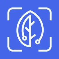 BiteRight logo
